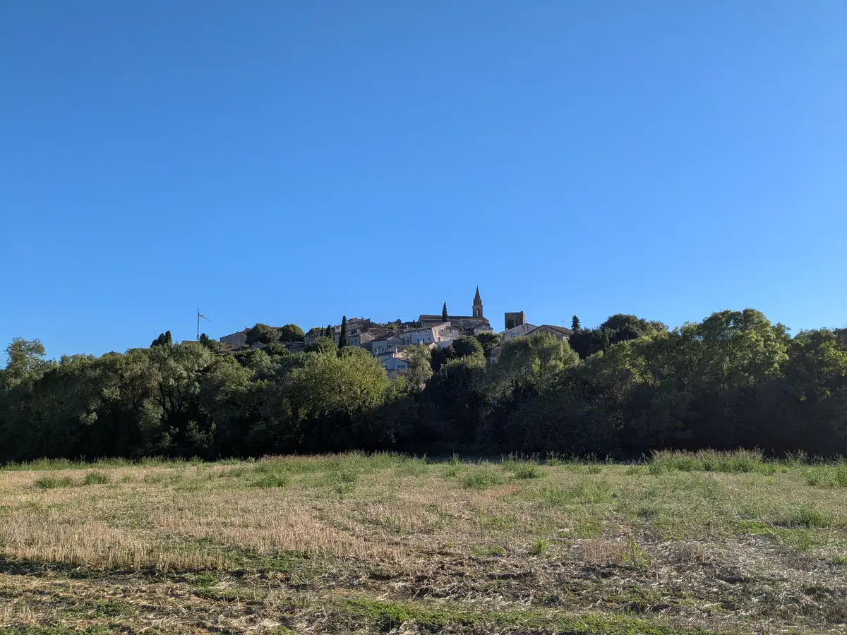 Gesamtansicht von Blauzac auf seiner Anhöhe hinter einem Feld und einer Baumreihe