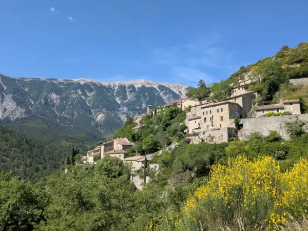 Brantes