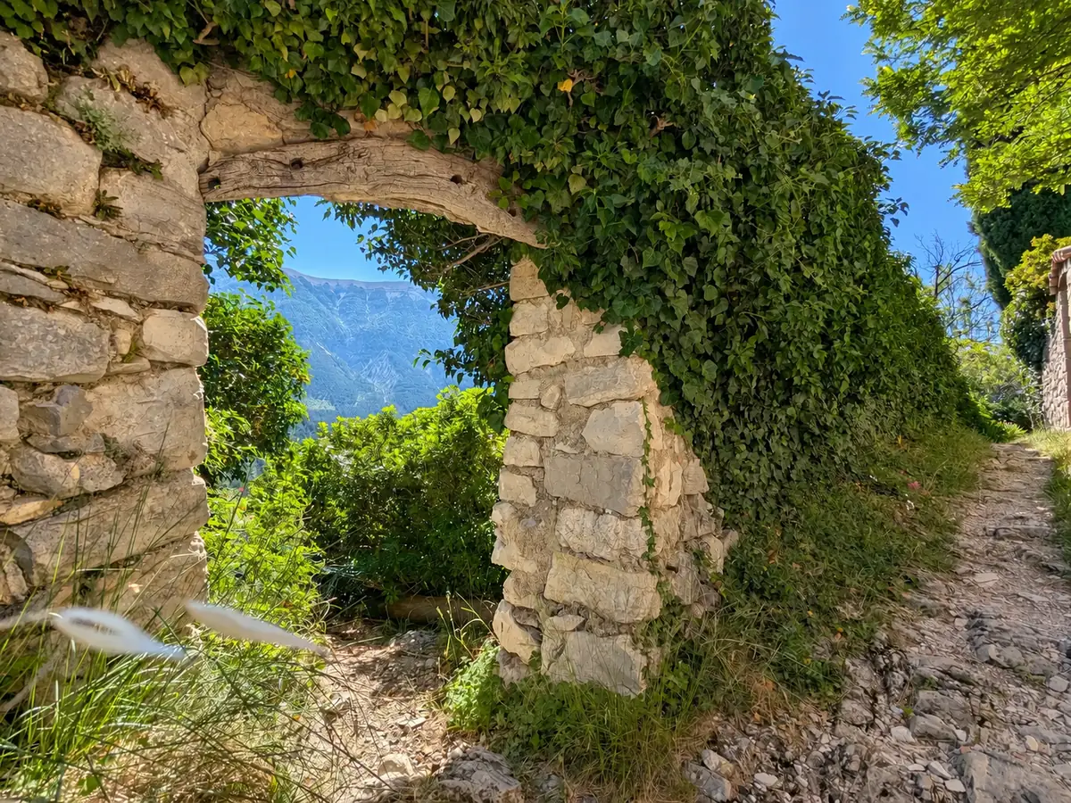 Apertura in un muro di pietra coperto di edera, con il Ventoux sullo sfondo
