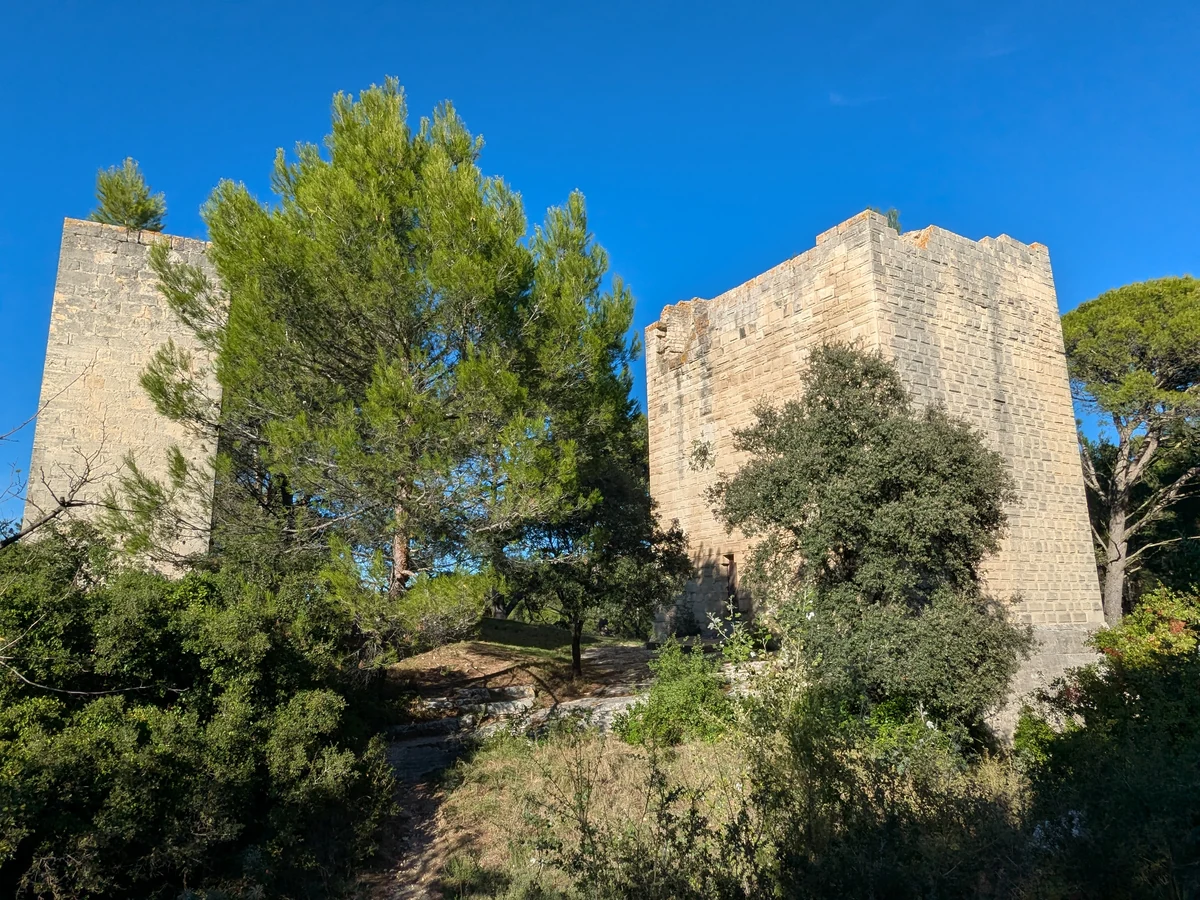 The two stone towers of Castrum Saint-Gabriel among the pine trees