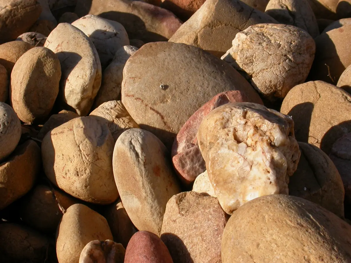 Nahaufnahme runder Kieselsteine auf dem Boden eines Weinbergs in Châteauneuf-du-Pape