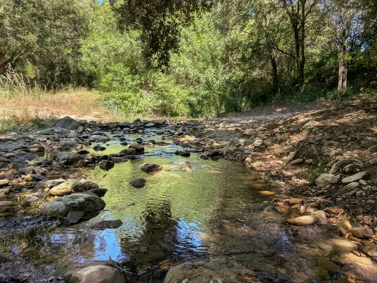 Aigue Brun sous les arbres dans la combe de Lourmarin