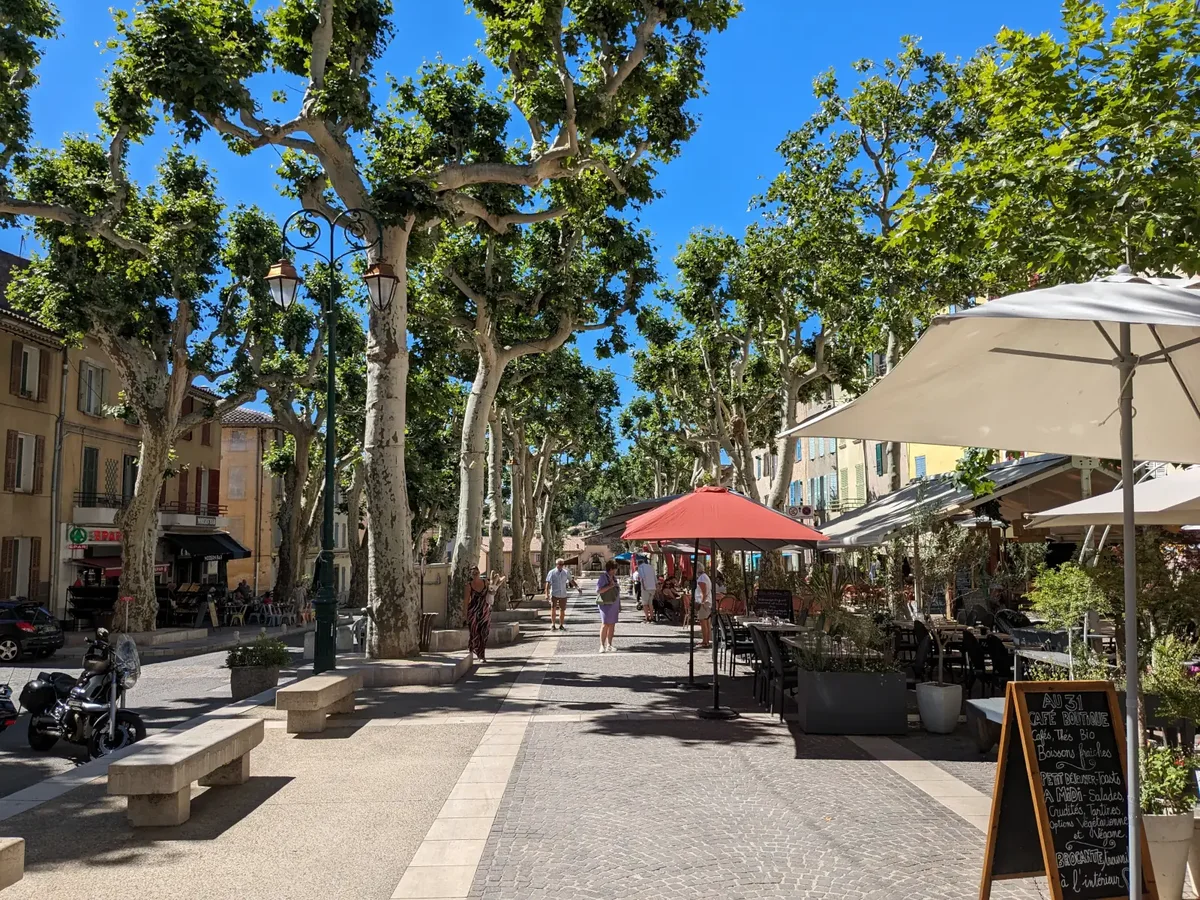 Cours Gambetta beneath the plane trees in Cotignac