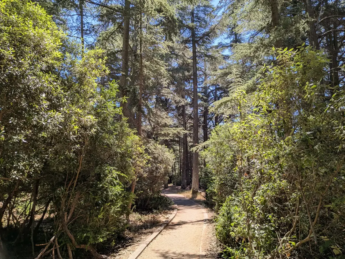 Sentier de découverte aménagé dans la forêt des Cèdres