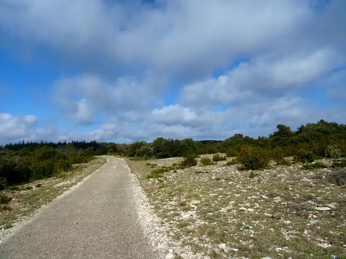Piste DFCI sur la crête du Petit Luberon
