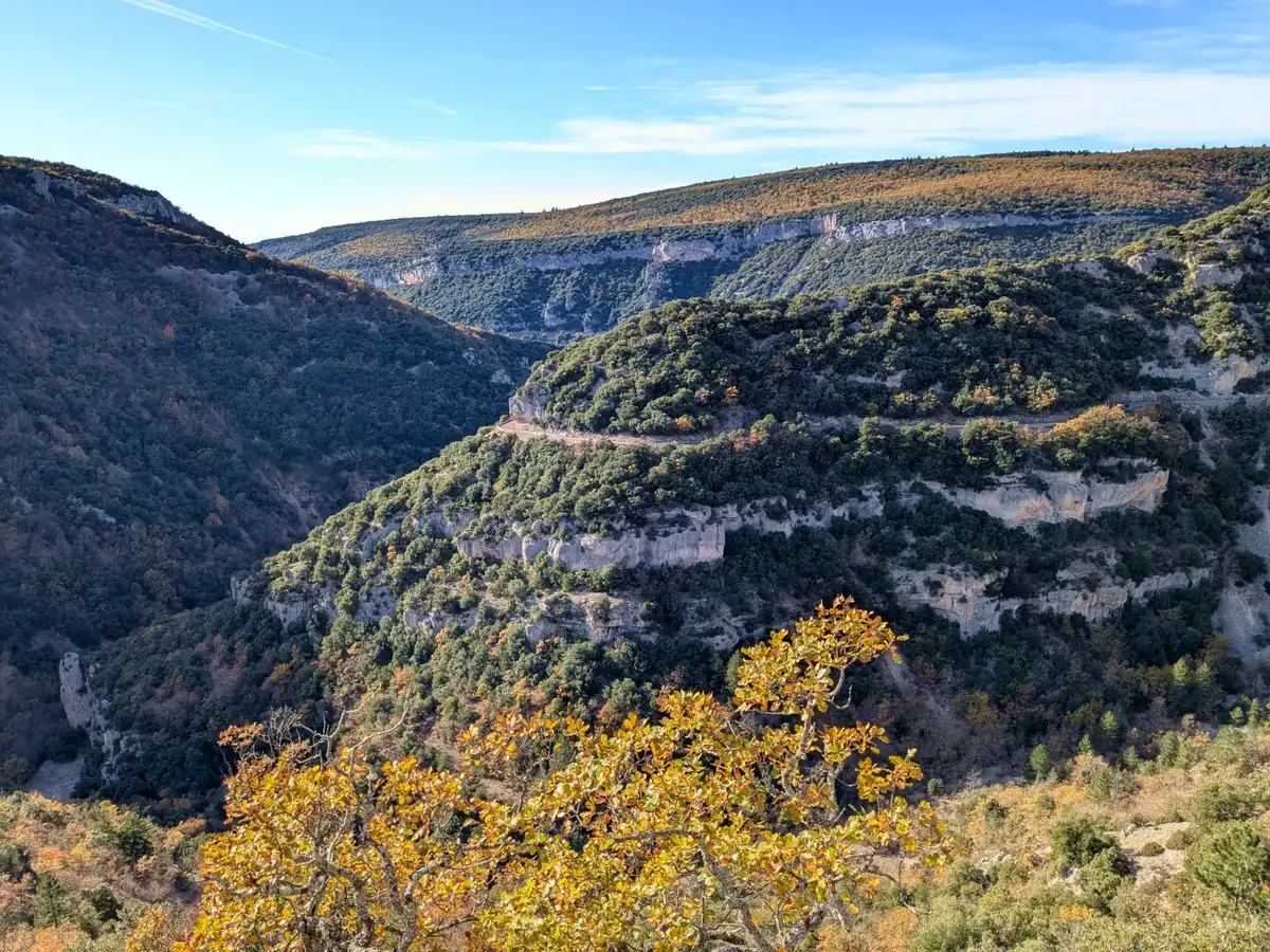 Les Gorges de la Nesque en automne © VF