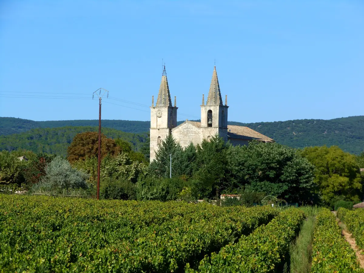 Église Notre-Dame-et-Saint-Michel de Goudargues émergeant au-dessus des vignes