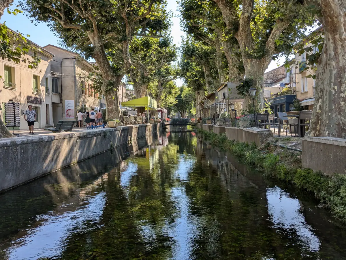 Vue centrée sur le Canal de la Fontaine bordé de platanes et de terrasses à Goudargues