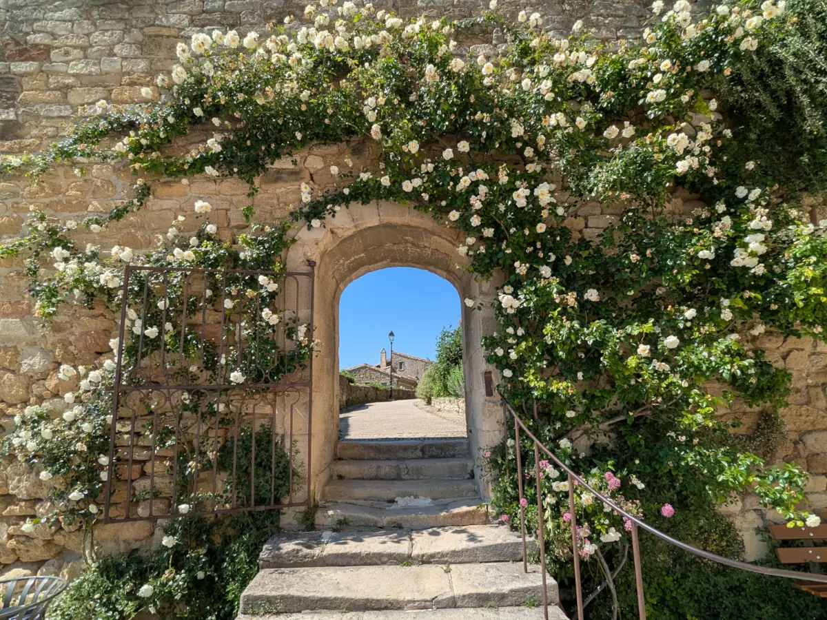 Grignan en Roses © VF