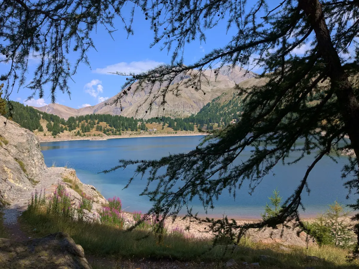 Le lac d'Allos © VF