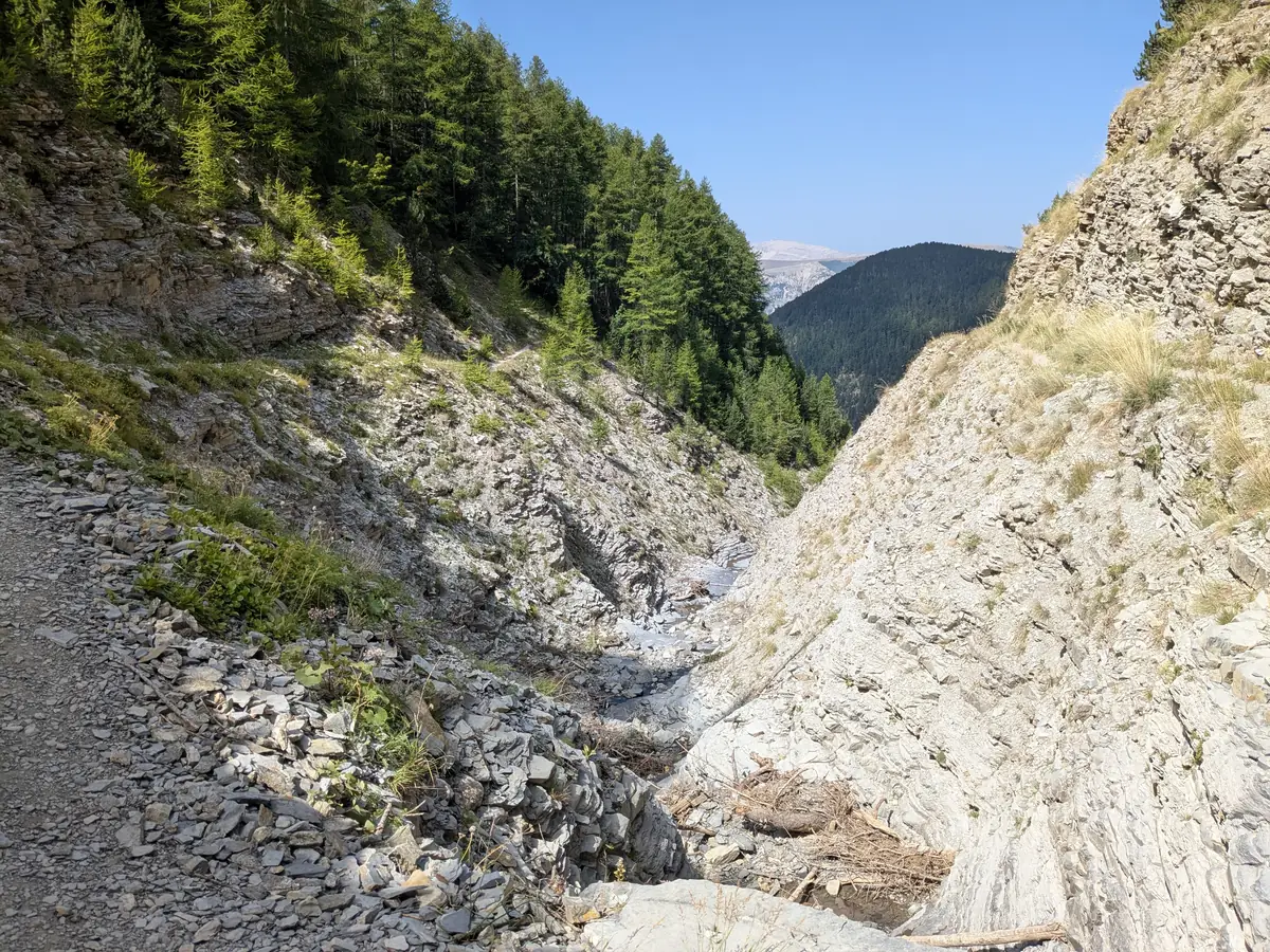 Felsiges Bett des Wildbachs Saint-Pierre zwischen lärchenbewachsenen Hängen