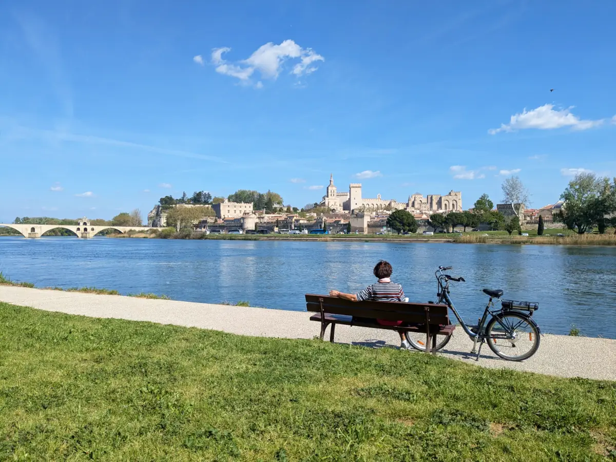 Panorama sur Avignon depuis l'Île de la Barthelasse © VF