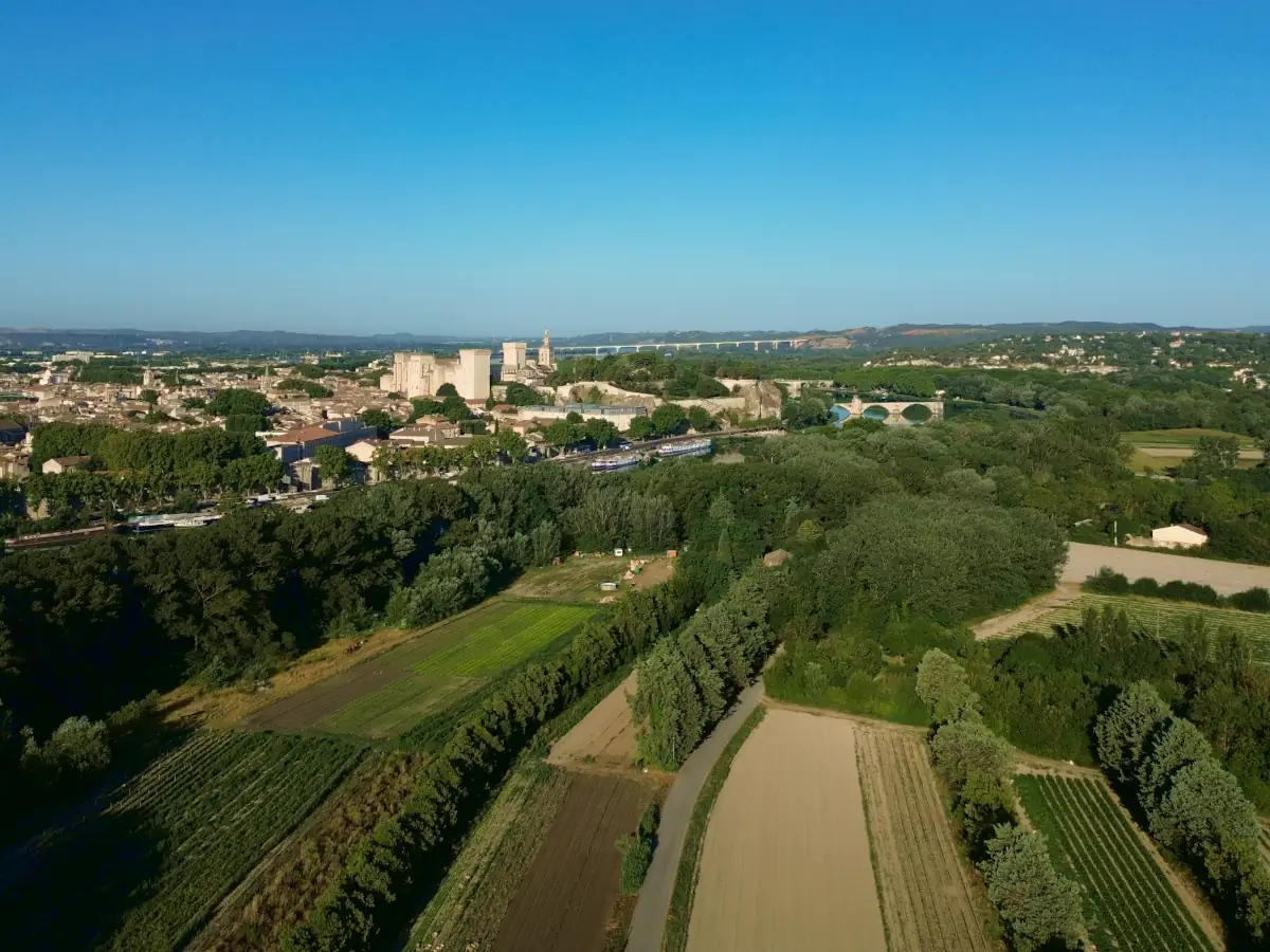 Aerial view of Barthelasse Island and Avignon &copy; VF
