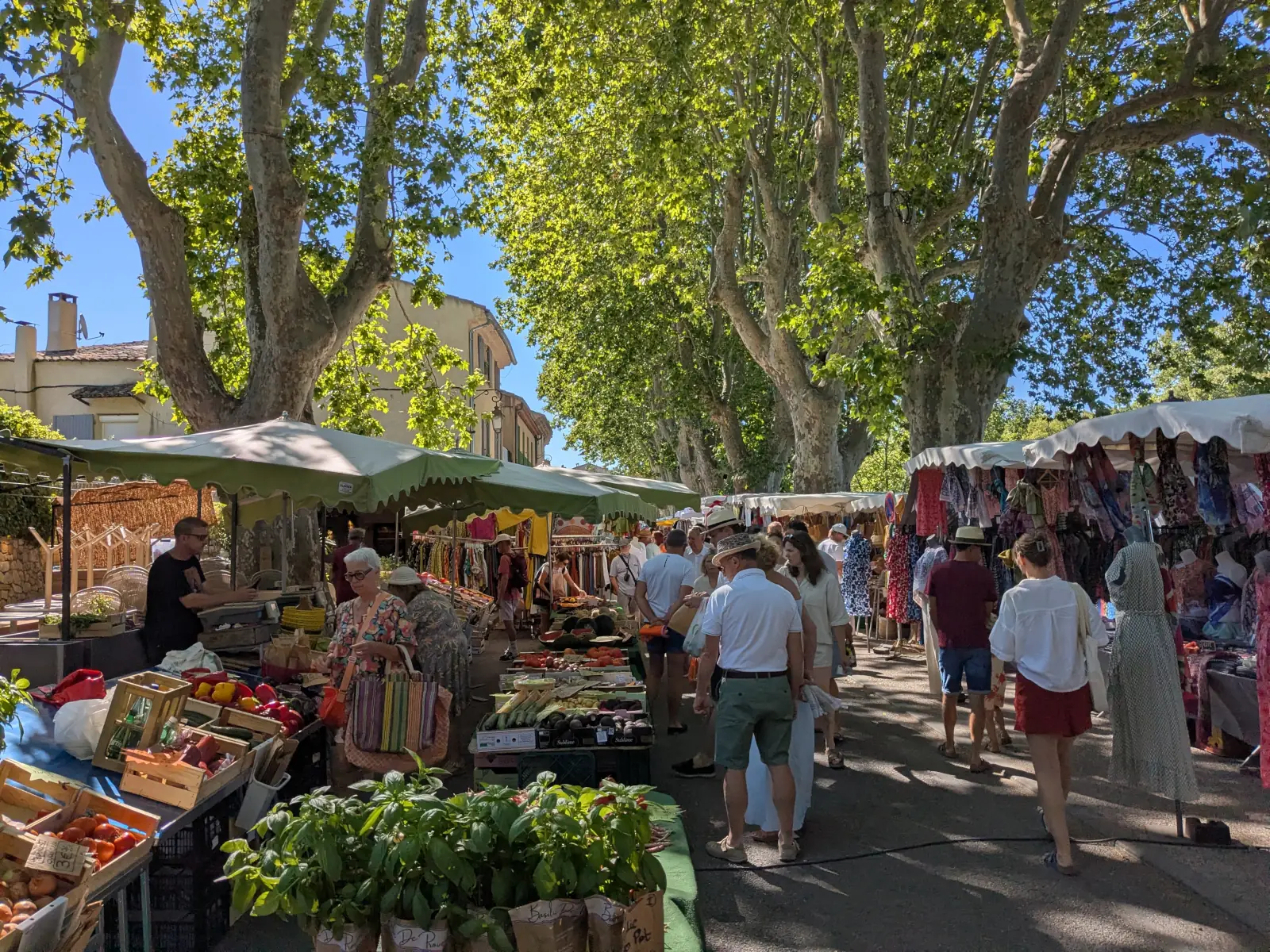 Etals du marché de Lourmarin en été