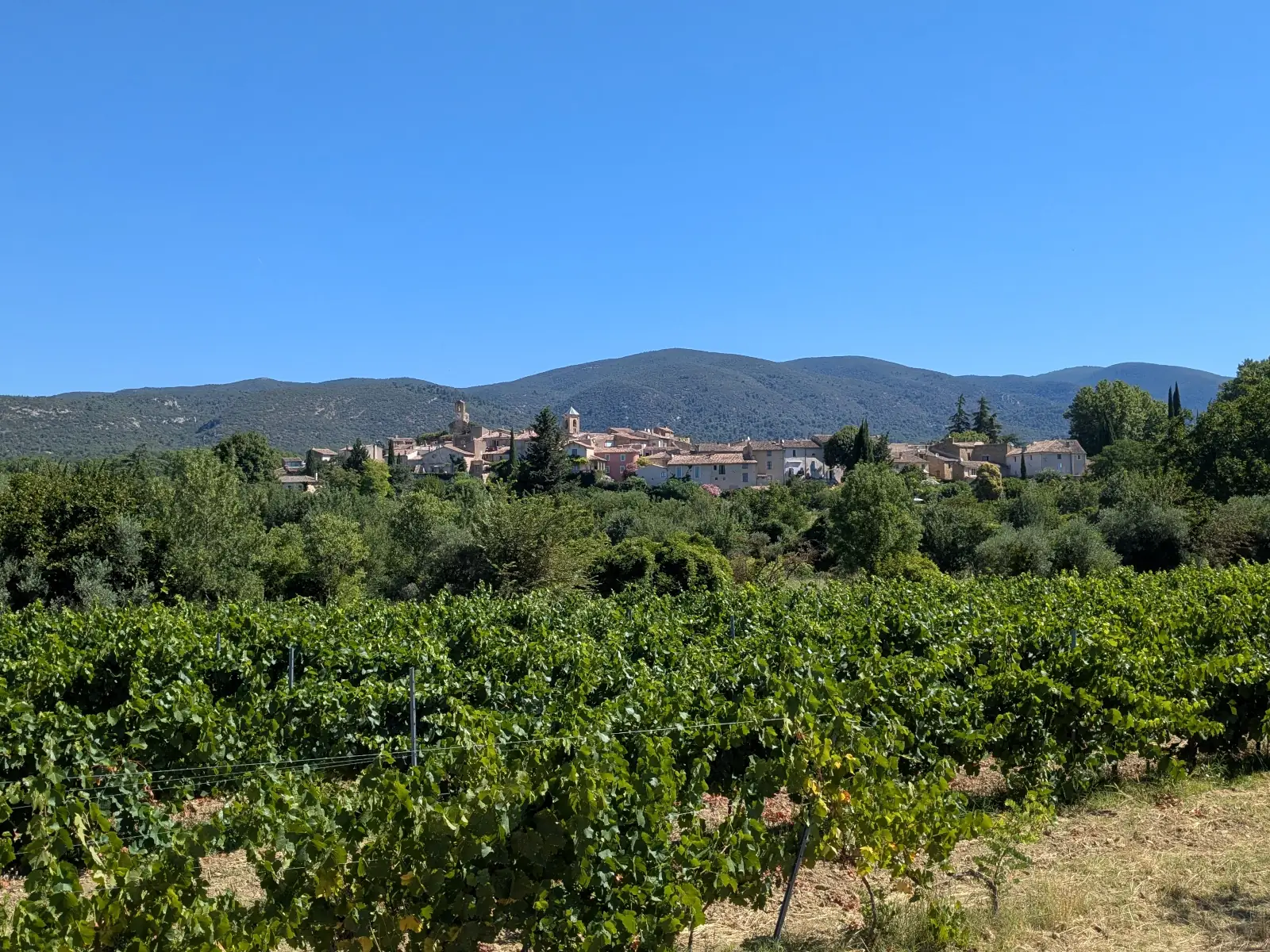 Village de Lourmarin derrière les vignes, au pied du massif du Luberon