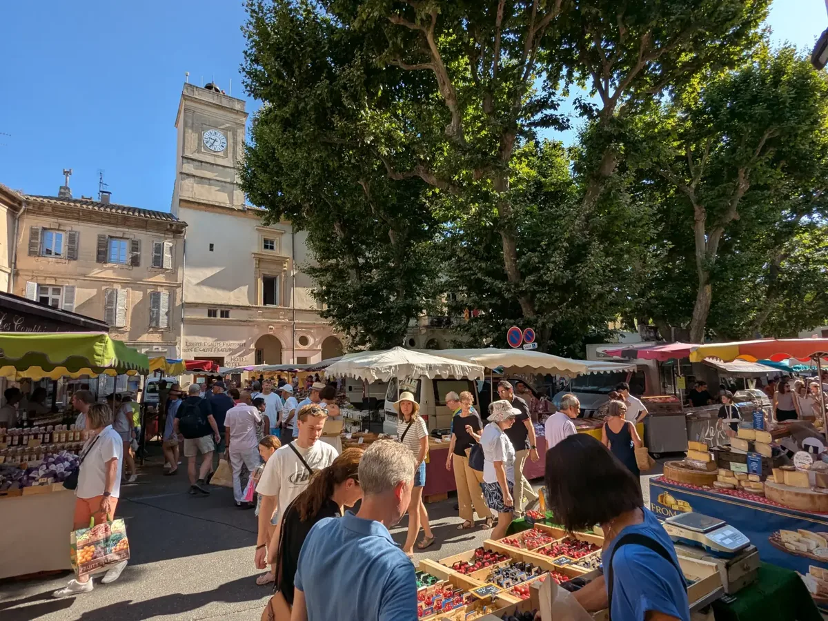 Markt von Saint-Rémy-de-Provence vor dem Rathaus