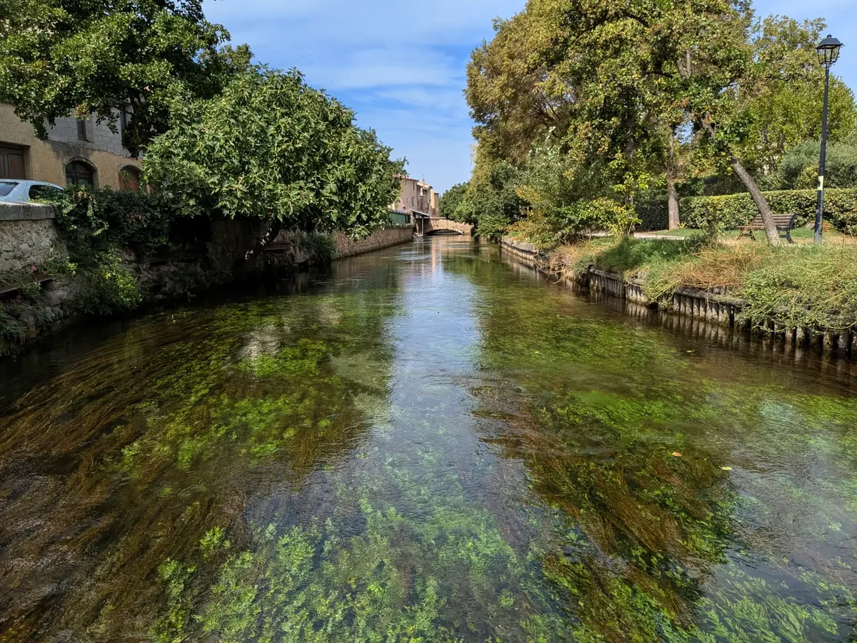 Kanal der Sorgue durch L’Isle-sur-la-Sorgue, grüne Wasserpflanzen unter der Oberfläche zwischen den Kais