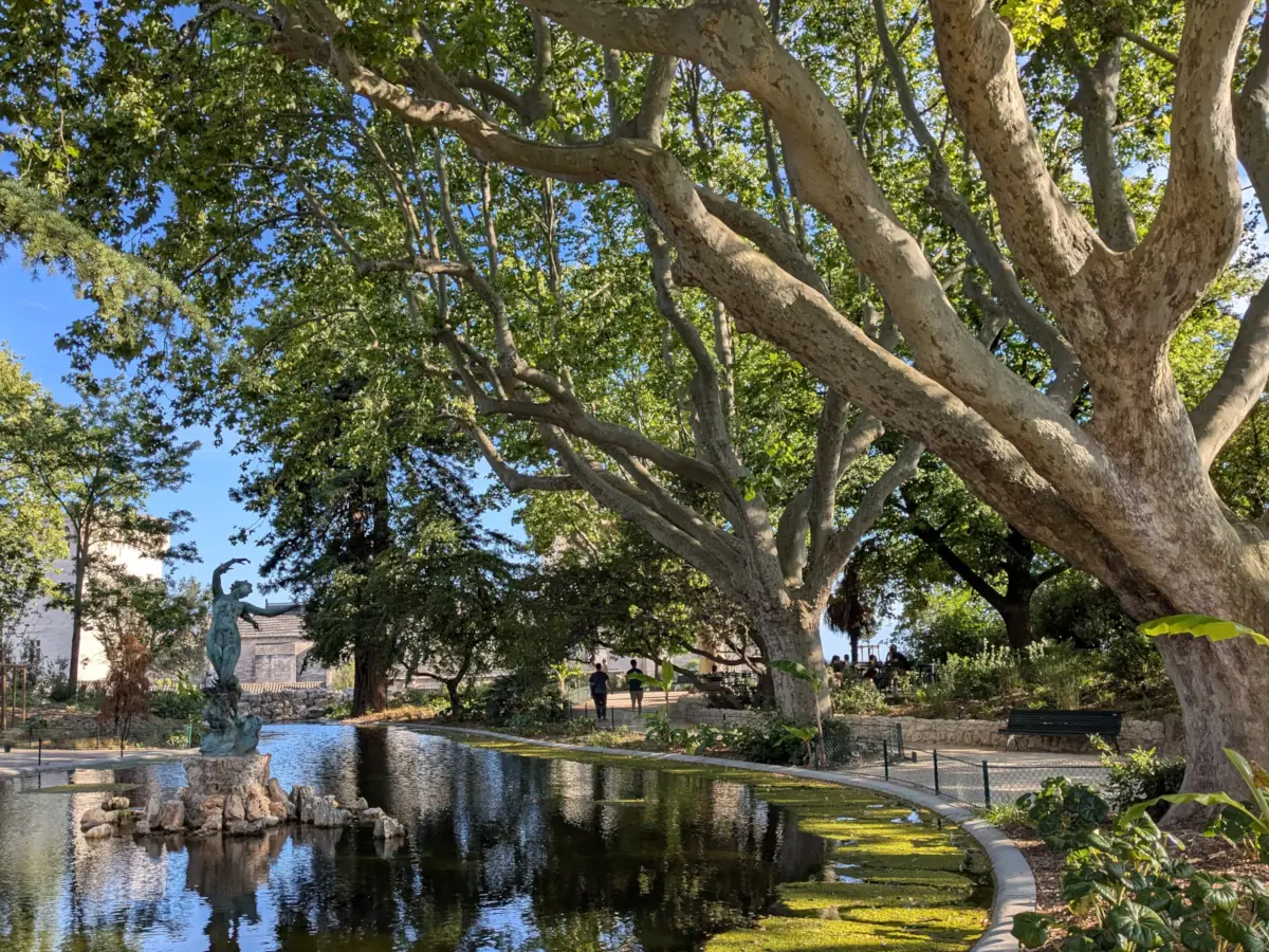 Das Becken des Jardin des Doms in Avignon