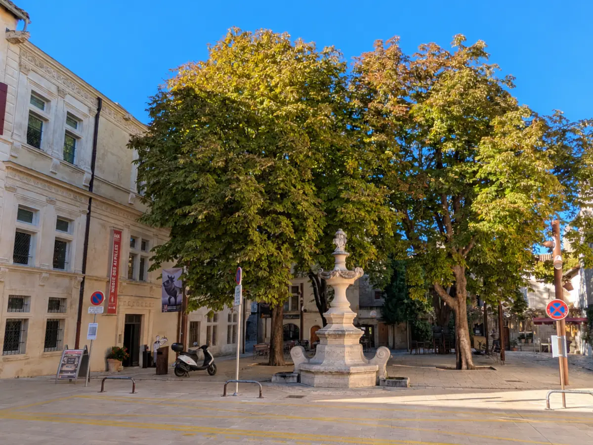 Die Place Favier mit ihrem Brunnen unter den Platanen in Saint-Rémy-de-Provence