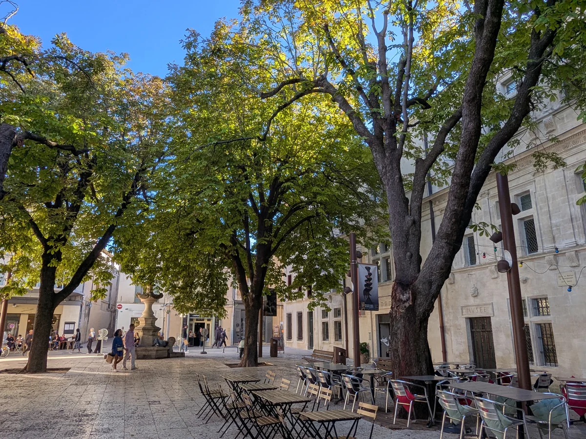 Die Renaissancefassade des Musée des Alpilles an der Place Favier