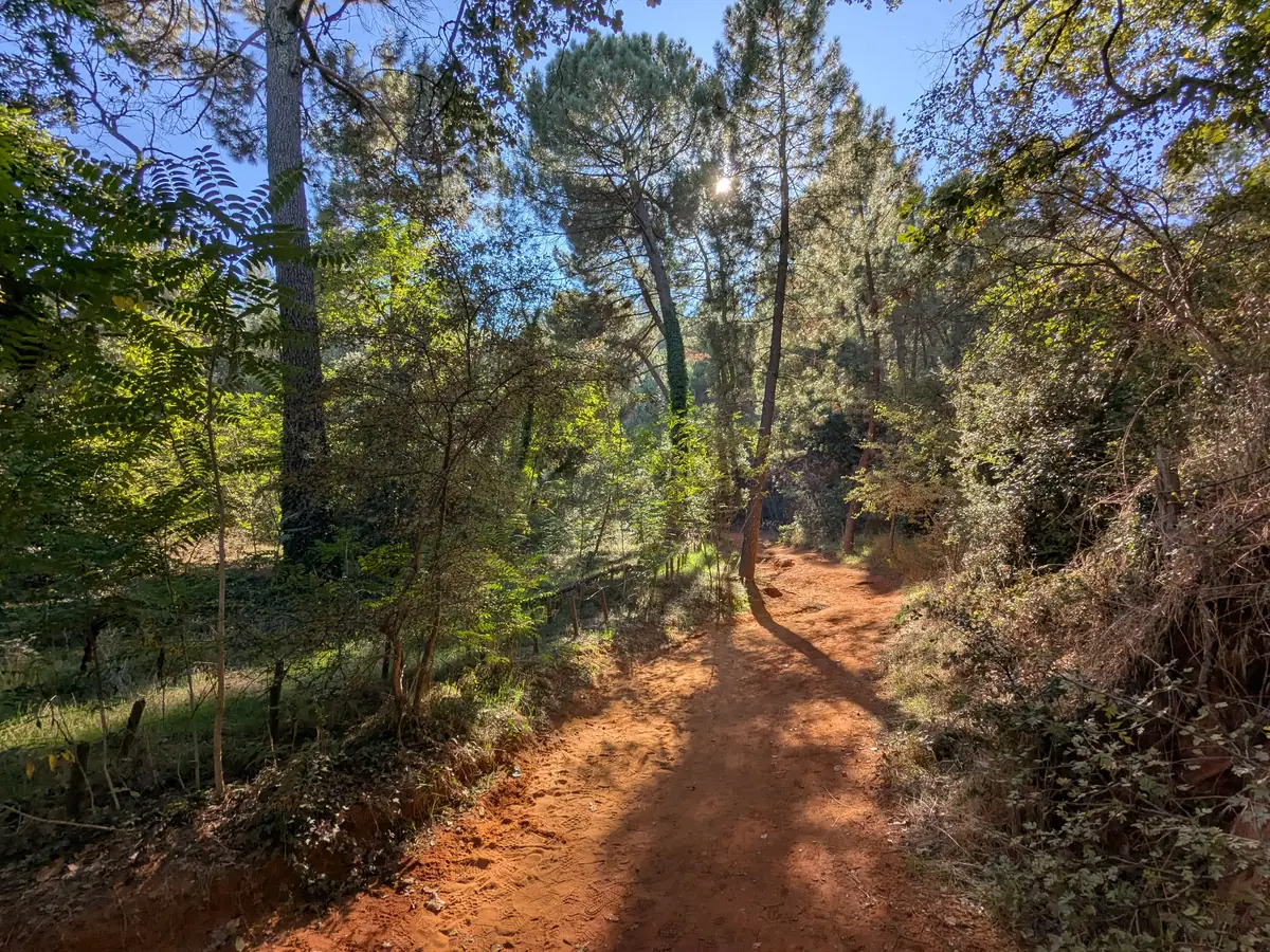Orange sandy trail lined with pines and vegetation in the former quarries of Roussillon