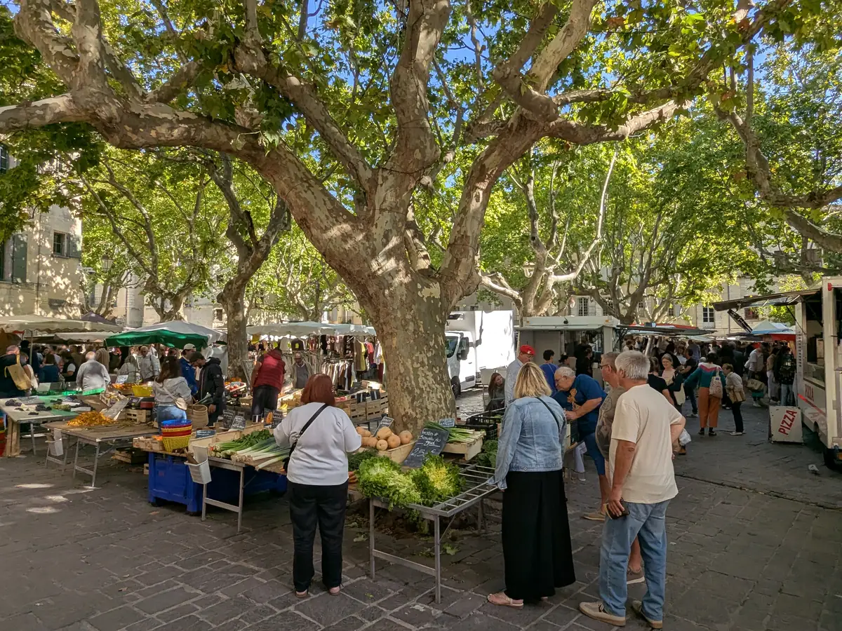 Stände des Samstagsmarkts unter den Platanen der Place aux Herbes in Uzès