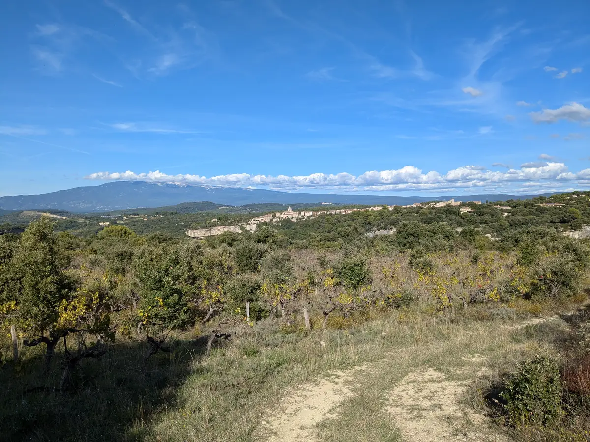 Mont Ventoux e Venasque oltre i vigneti e le colline boscose