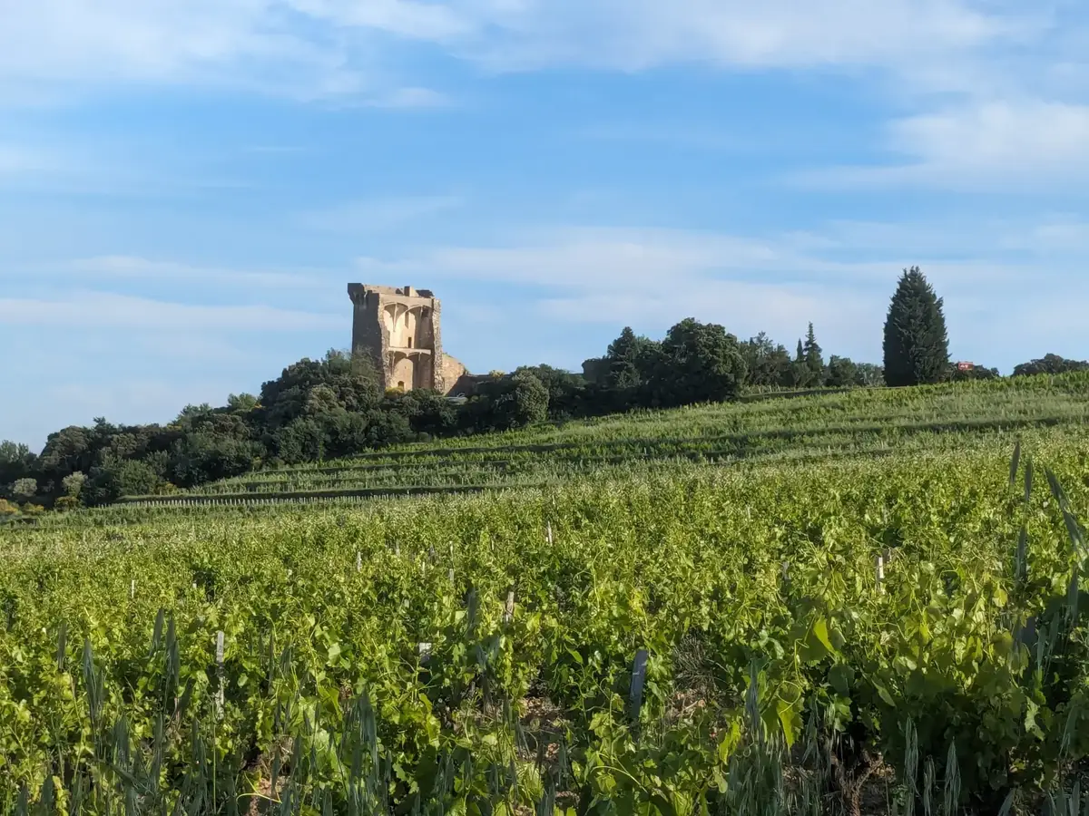 Le Château de Châteauneuf-du-pape