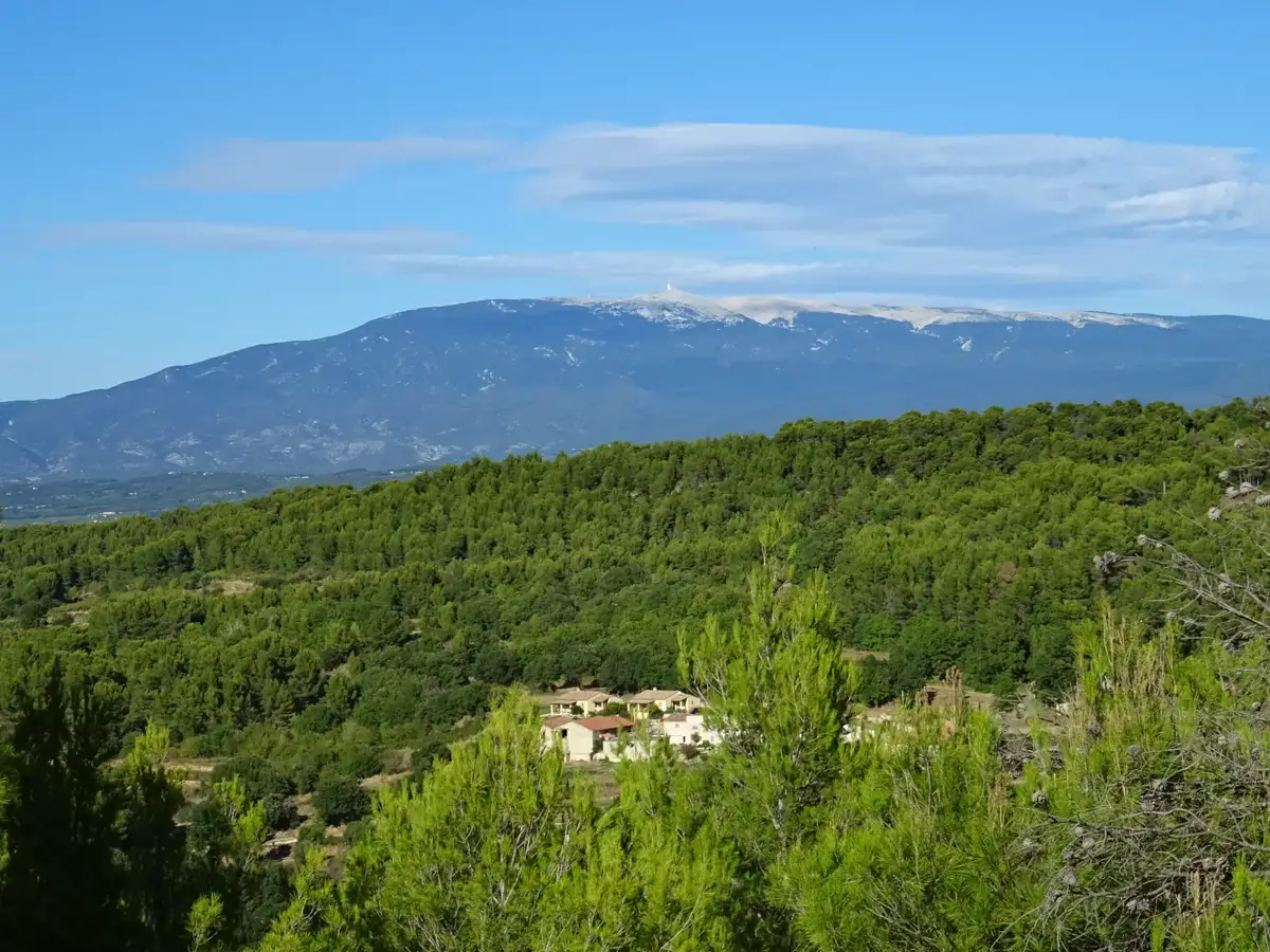 Portal of Guest Houses in Provence