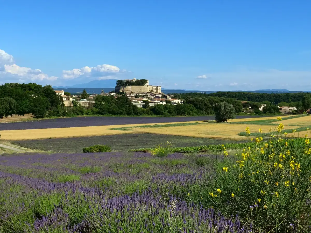 Portal of Guest Houses in Provence