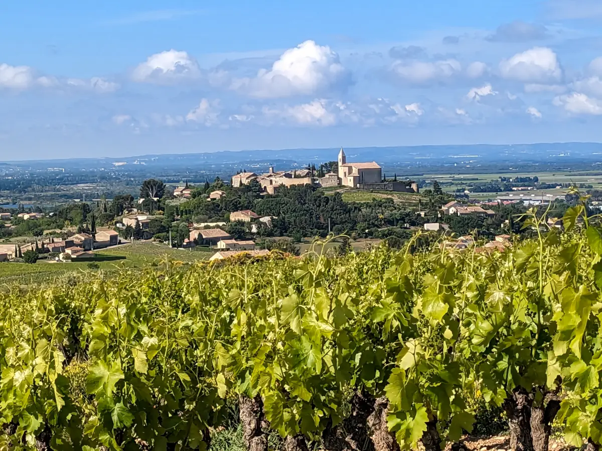 Vignobles des Côtes du Rhône - Cairanne © VF