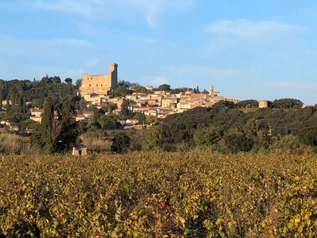 Châteauneuf du Pape © VF