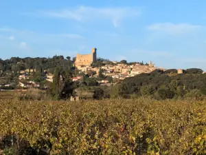 Châteauneuf du Pape © VF