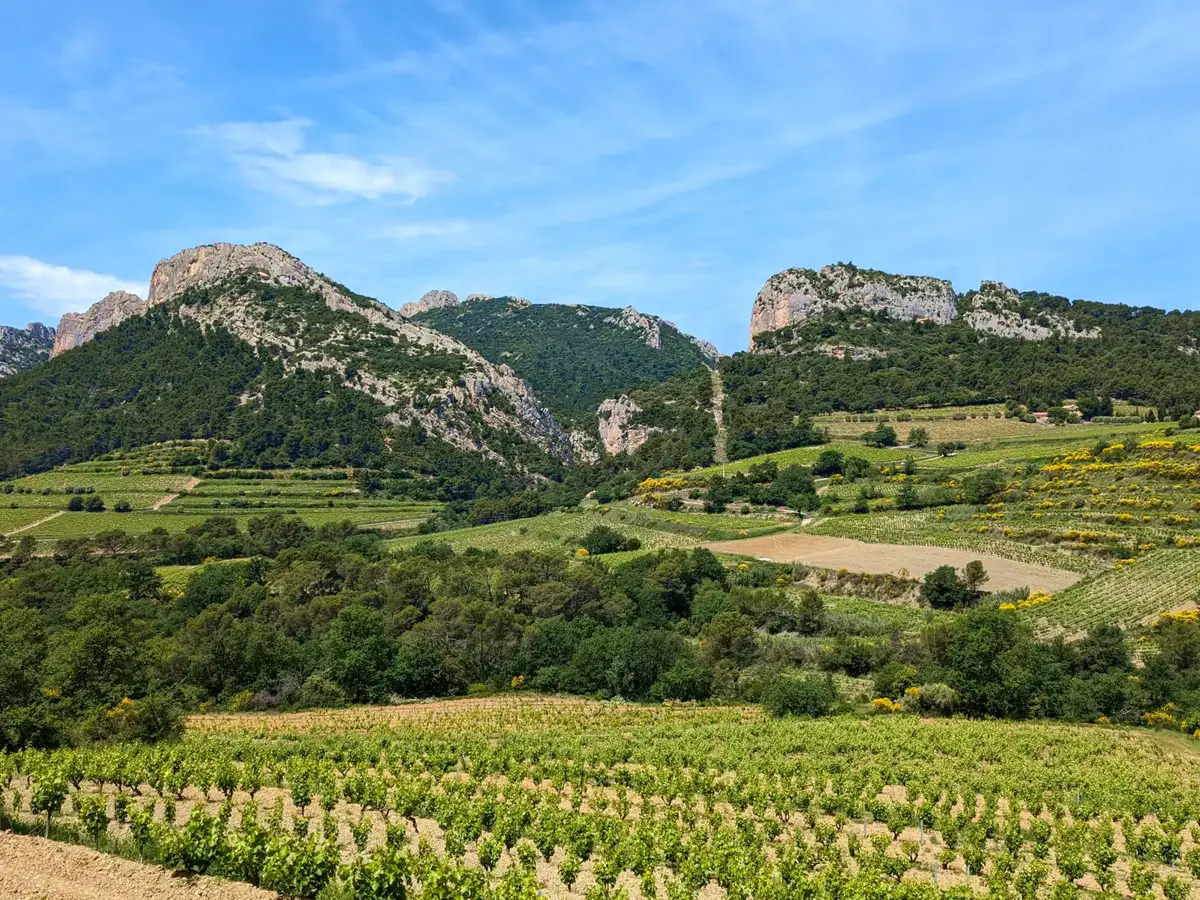 Landschaft der Dentelles de Montmirail © VF