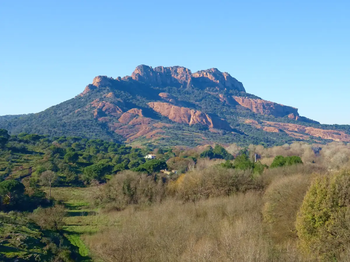 Massif des Maures © VF