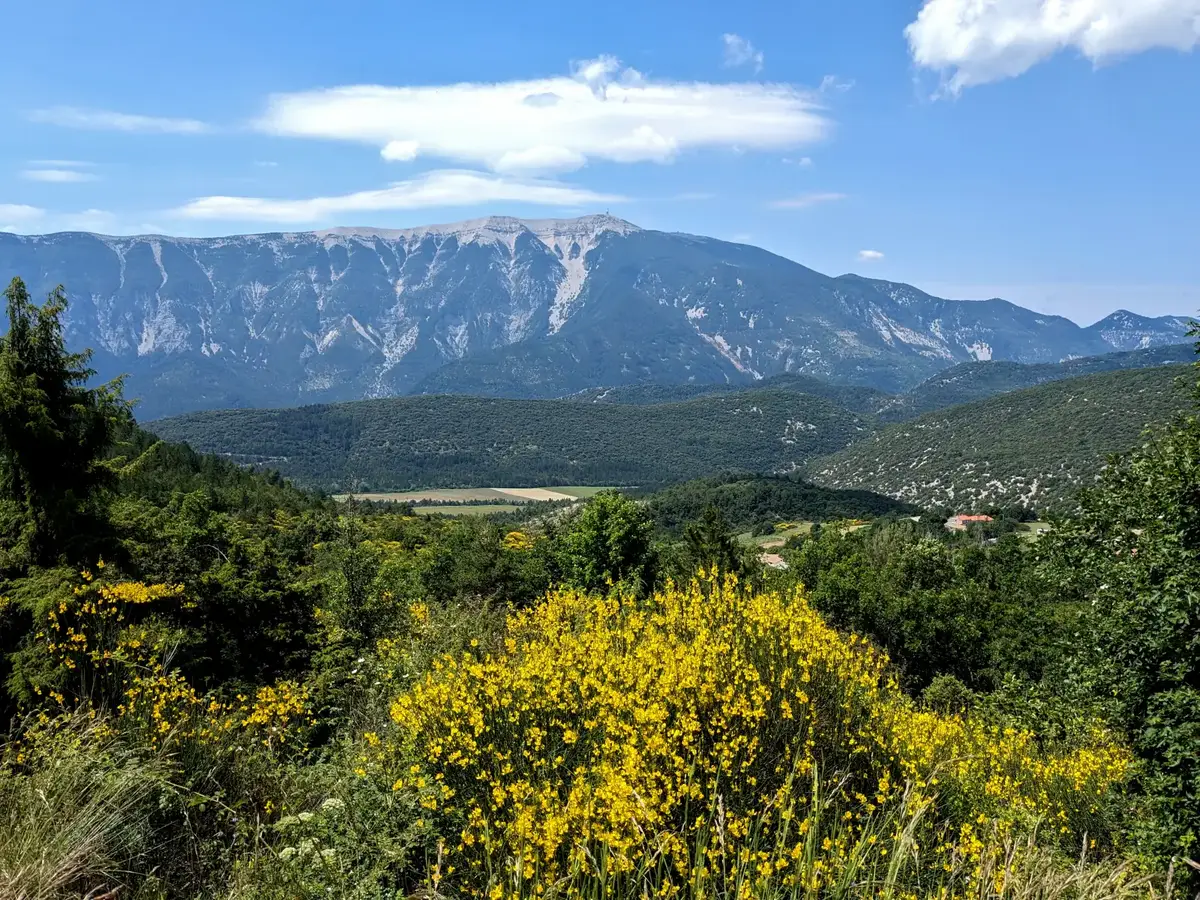 Nordseite des Mont Ventoux © VF