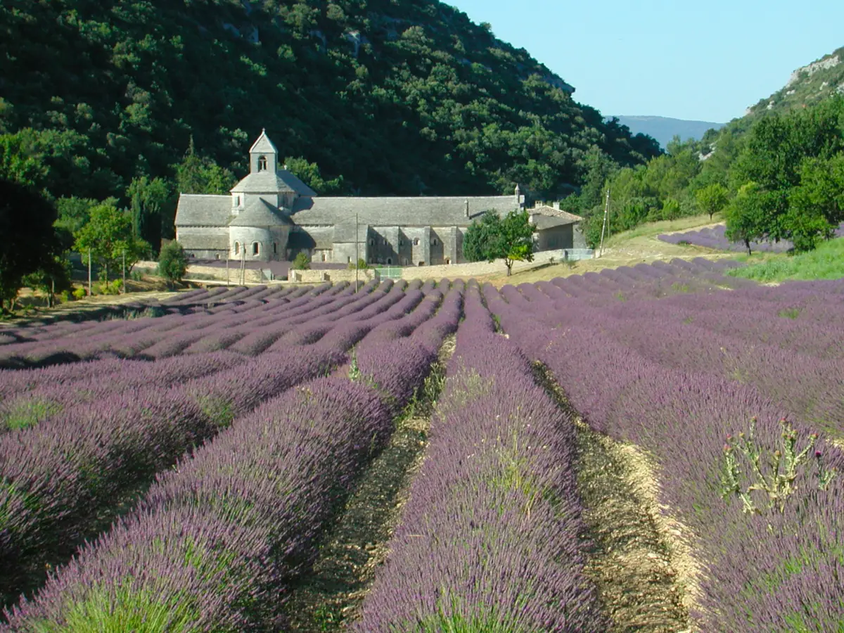 Abbaye de Sénanque © VF