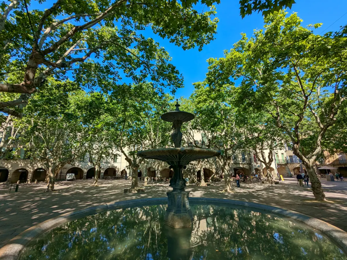 Place aux Herbes in Uzès  © VF