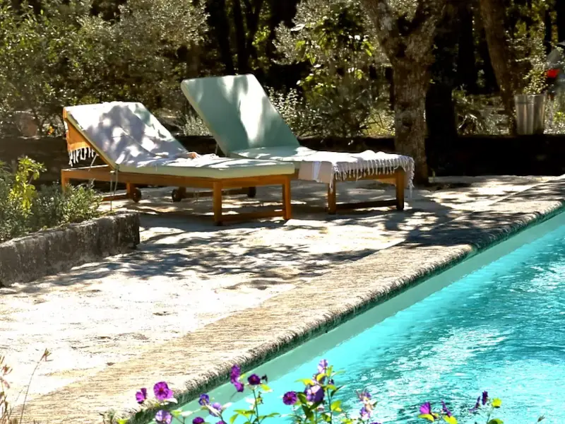 Photo La Piscine dans la Forêt